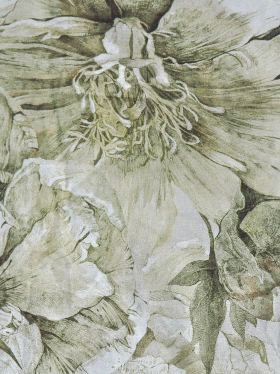 Комплект с одеялами Kazanov.a “Хиллари” капучино (египетский хлопок-велюр), семейный